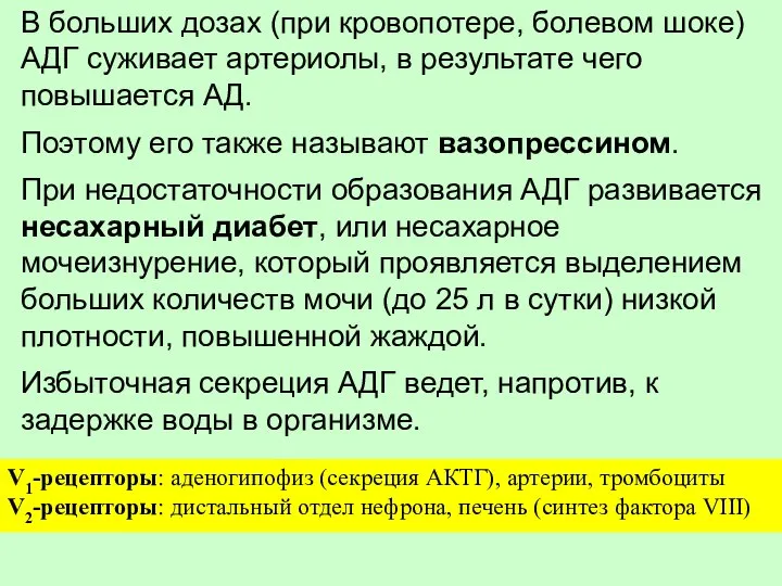 В больших дозах (при кровопотере, болевом шоке) АДГ суживает артериолы, в результате