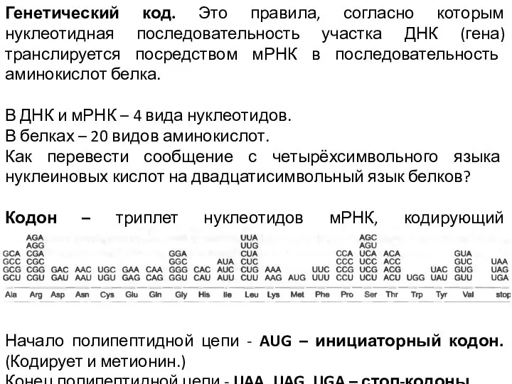 Генетический код. Это правила, согласно которым нуклеотидная последовательность участка ДНК (гена) транслируется