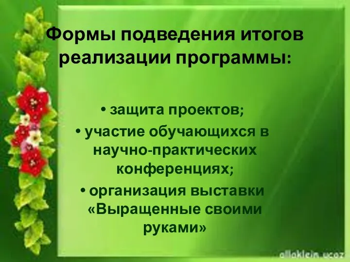 Формы подведения итогов реализации программы: защита проектов; участие обучающихся в научно-практических конференциях;