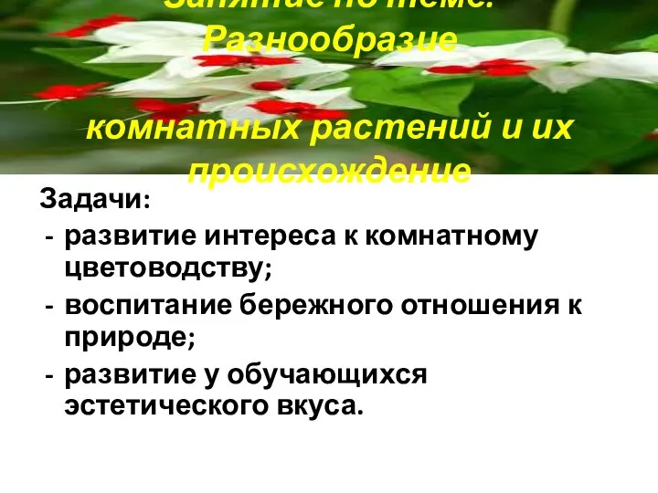 Занятие по теме: Разнообразие комнатных растений и их происхождение Задачи: развитие интереса