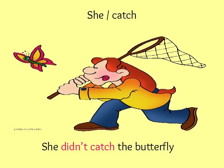 She / catch She didn’t catch the butterfly