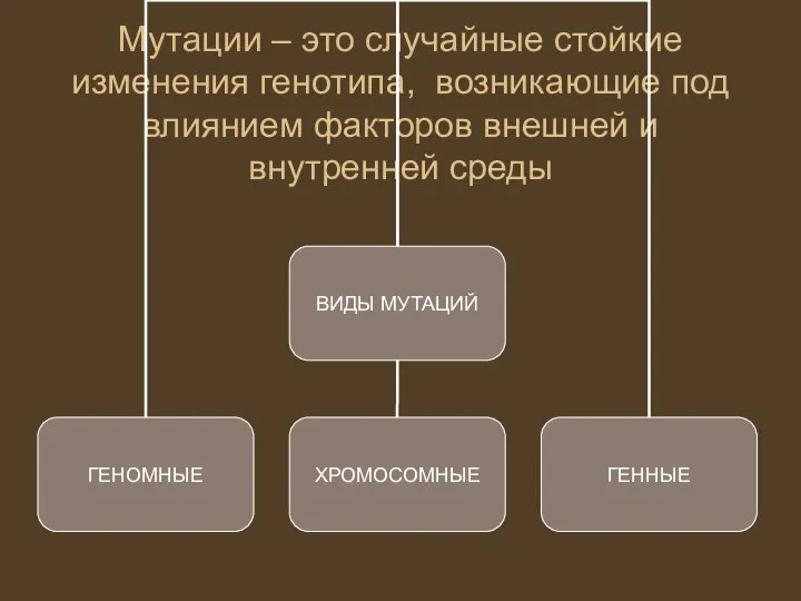 Мутации – это случайные стойкие изменения генотипа, возникающие под влиянием факторов внешней и внутренней среды