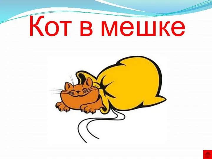 Кот в мешке