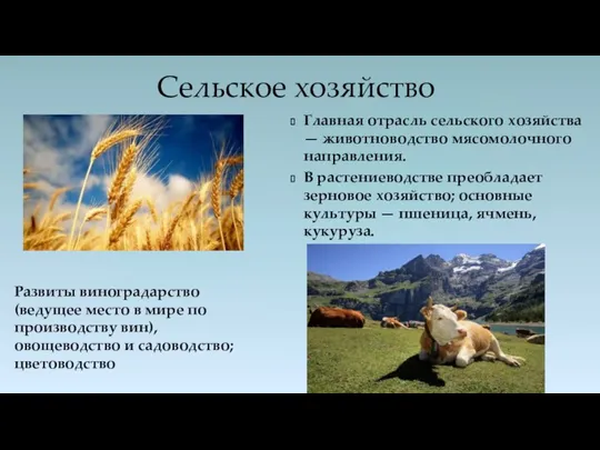 Сельское хозяйство Главная отрасль сельского хозяйства — животноводство мясомолочного направления. В растениеводстве