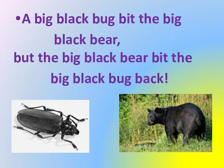 A big black bug bit the big black bear, but the big