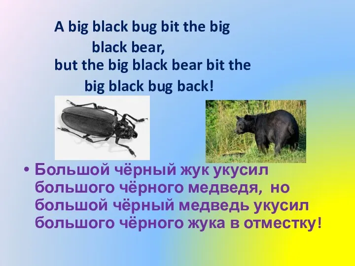A big black bug bit the big black bear, but the big