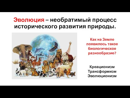 Эволюция – необратимый процесс исторического развития природы. Как на Земле появилось такое