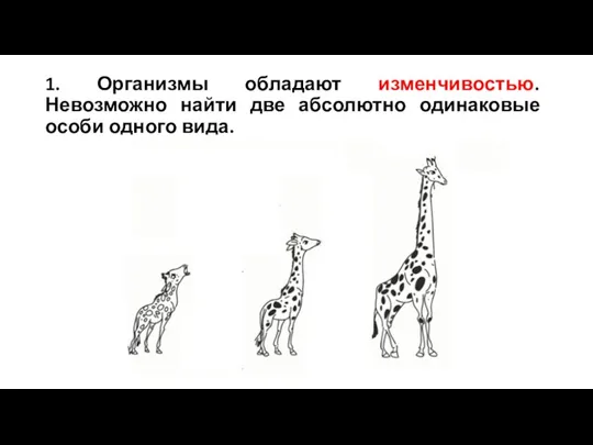 1. Организмы обладают изменчивостью. Невозможно найти две абсолютно одинаковые особи одного вида.