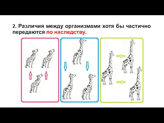 2. Различия между организмами хотя бы частично передаются по наследству.