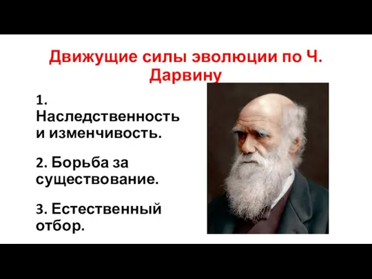 Движущие силы эволюции по Ч. Дарвину 1. Наследственность и изменчивость. 2. Борьба