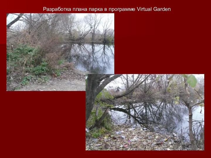 Разработка плана парка в программе Virtual Garden