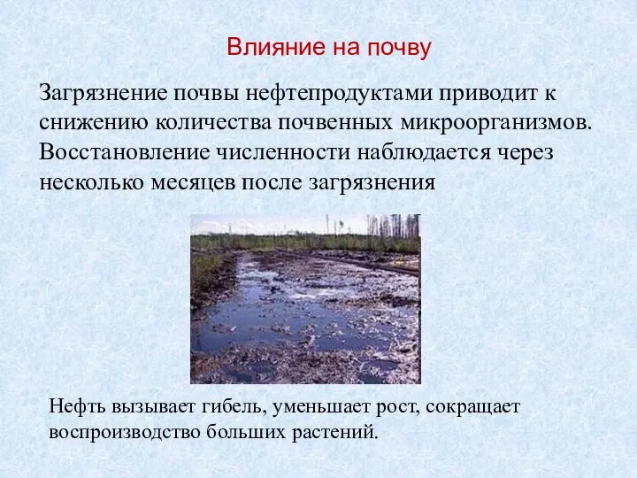 Загрязнение почвы нефтепродуктами приводит к снижению количества почвенных микроорганизмов. Восстановление численности наблюдается