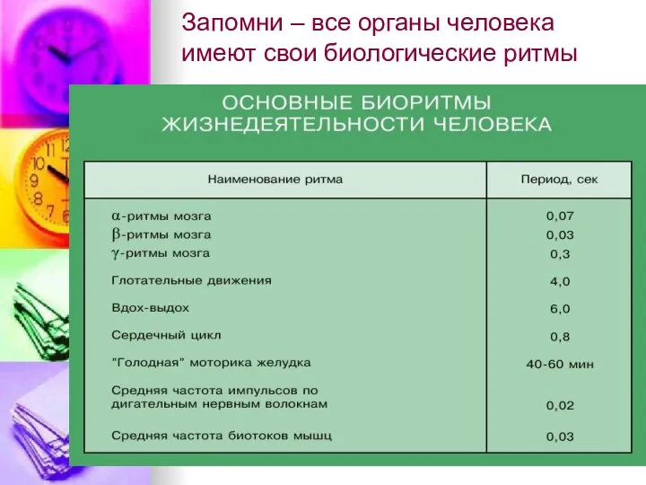 Запомни – все органы человека имеют свои биологические ритмы