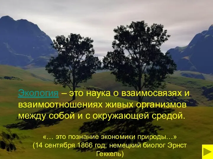 Экология – это наука о взаимосвязях и взаимоотношениях живых организмов между собой