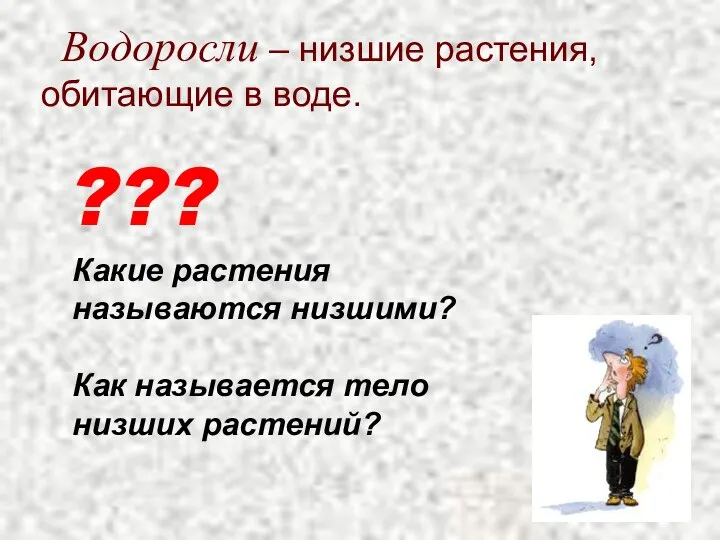 Водоросли – низшие растения, обитающие в воде. ??? Какие растения называются низшими?