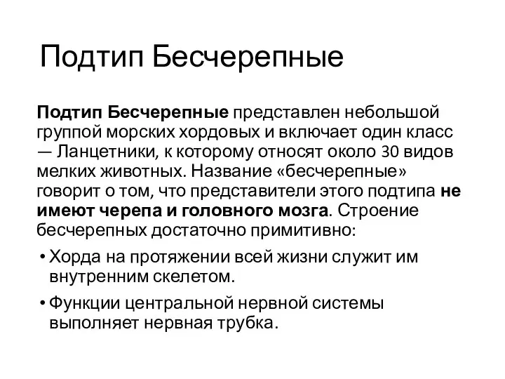 Подтип Бесчерепные Подтип Бесчерепные представлен небольшой группой морских хордовых и включает один