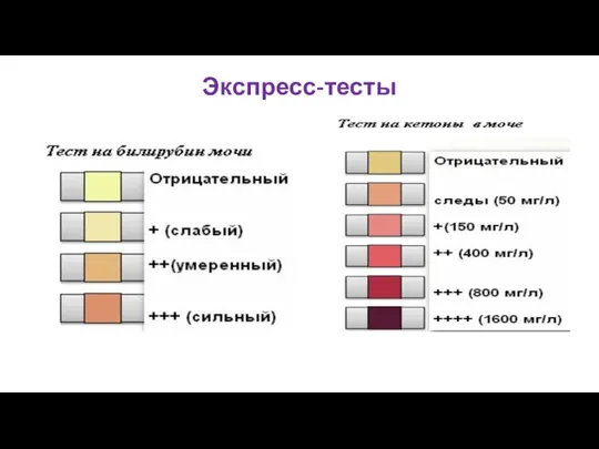 Экспресс-тесты