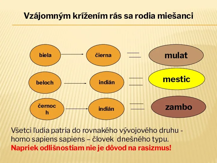 biela čierna mulat beloch indián mestic černoch indián zambo Všetci ľudia patria