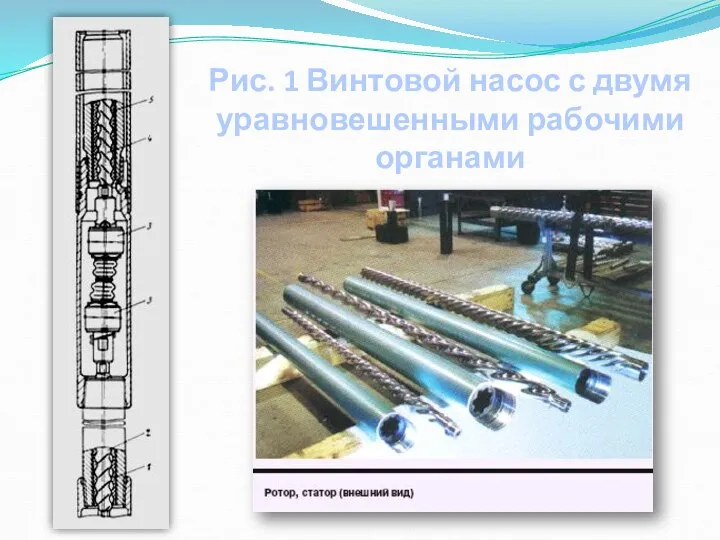 Рис. 1 Винтовой насос с двумя уравновешенными рабочими органами