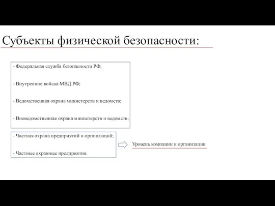 Субъекты физической безопасности: - Федеральная служба безопасности РФ; - Внутренние войска МВД