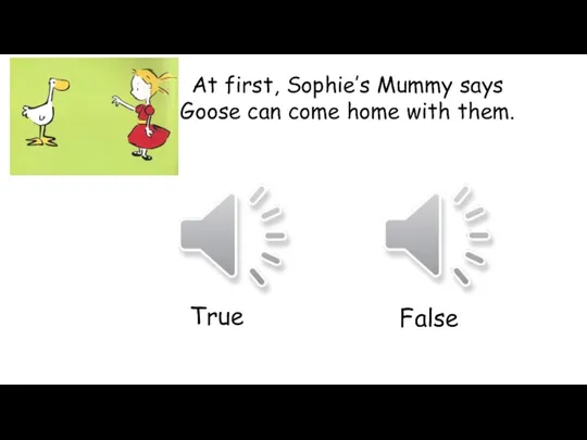 At first, Sophie’s Mummy says Goose can come home with them. True False