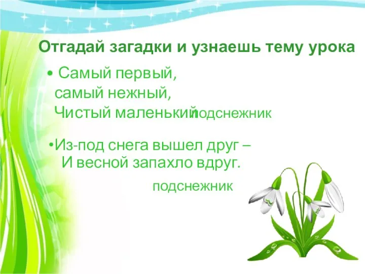 Самый первый, самый нежный, Чистый маленький Из-под снега вышел друг – И