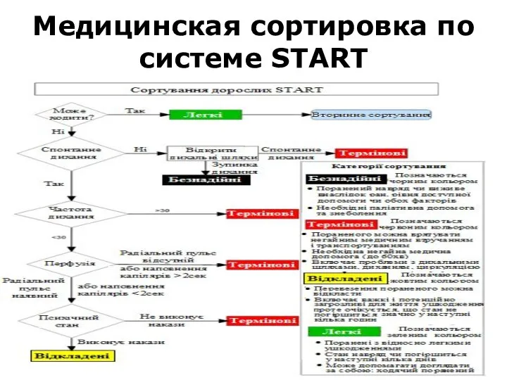 Медицинская сортировка по системе START