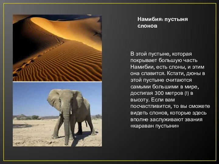Намибия: пустыня слонов В этой пустыне, которая покрывает большую часть Намибии, есть