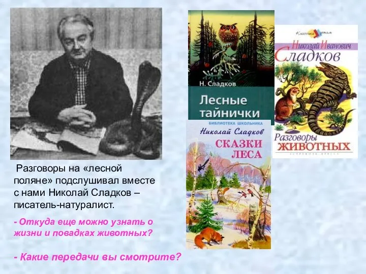 Разговоры на «лесной поляне» подслушивал вместе с нами Николай Сладков – писатель-натуралист.