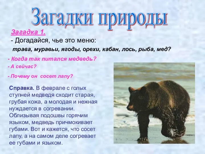 Загадки природы Загадка 1. - Догадайся, чье это меню: трава, муравьи, ягоды,