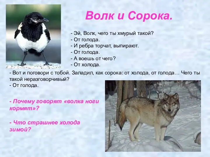 Волк и Сорока. - Эй, Волк, чего ты хмурый такой? - От