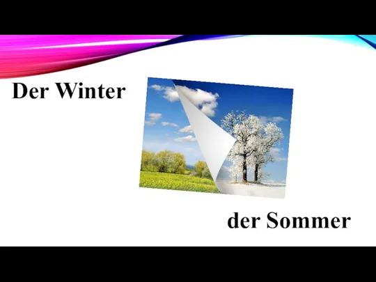 Der Winter der Sommer