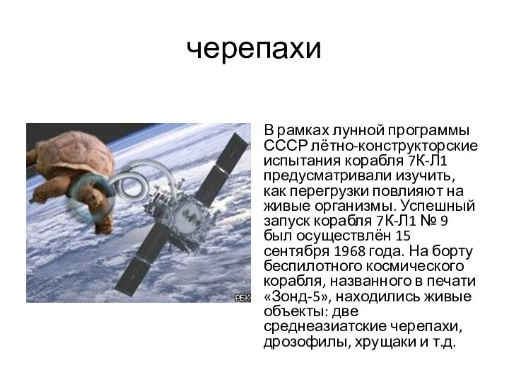 черепахи В рамках лунной программы СССР лётно-конструкторские испытания корабля 7К-Л1 предусматривали изучить,