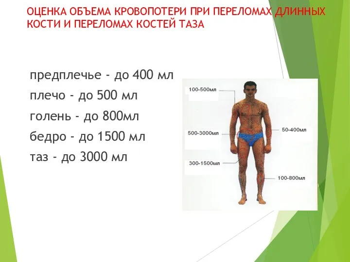 ОЦЕНКА ОБЪЕМА КРОВОПОТЕРИ ПРИ ПЕРЕЛОМАХ ДЛИННЫХ КОСТИ И ПЕРЕЛОМАХ КОСТЕЙ ТАЗА предплечье