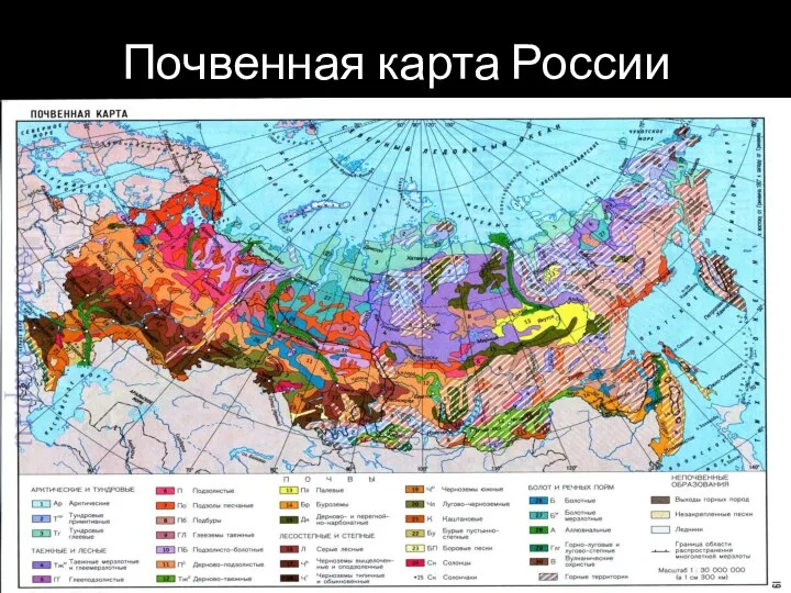 Почвенная карта России