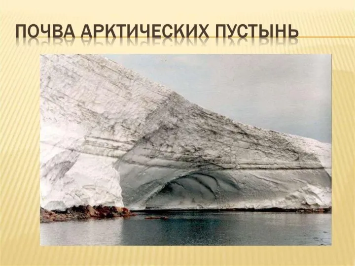 Почва Арктических пустынь