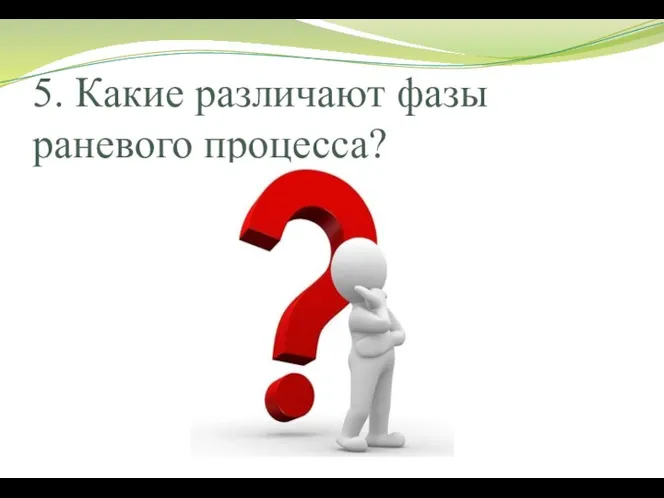 5. Какие различают фазы раневого процесса?