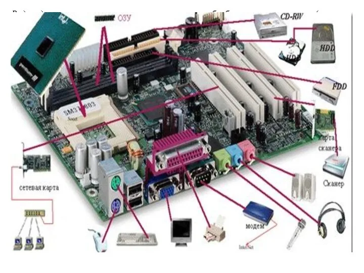 Видеоадаптер — это электронная плата, которая обрабатывает видеоданные (текст и графику) и