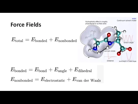 Force Fields