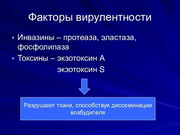 Факторы вирулентности Инвазины – протеаза, эластаза, фосфолипаза Токсины – экзотоксин А экзотоксин