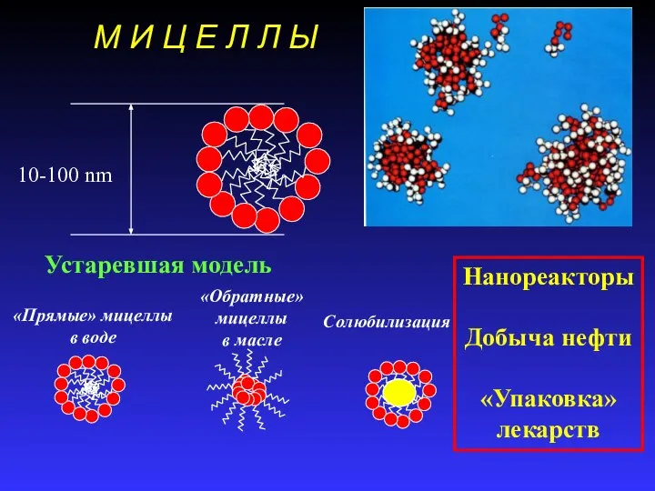 М И Ц Е Л Л Ы 10-100 nm «Прямые» мицеллы в