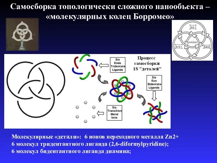 Самосборка топологически сложного нанообъекта – «молекулярных колец Борромео» Молекулярные «детали»: 6 ионов