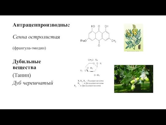 Антраценпроизводные Сенна остролистая (франгула-эмодин) Дубильные вещества (Танин) Дуб черешчатый R, R1, R2