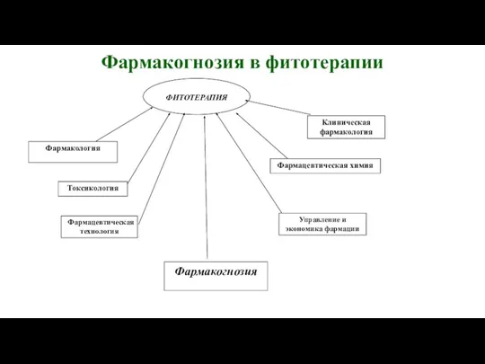 Фармакогнозия в фитотерапии ФИТОТЕРАПИЯ Фармакология Клиническая фармакология Токсикология Фармацевтическая химия Фармацевтическая технология