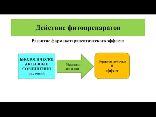 Действие фитопрепаратов Развитие фармакотерапевтического эффекта БИОЛОГИЧЕСКИ АКТИВНЫЕ СОЕДИНЕНИЯ растений Механизм действия Терапевтический эффект