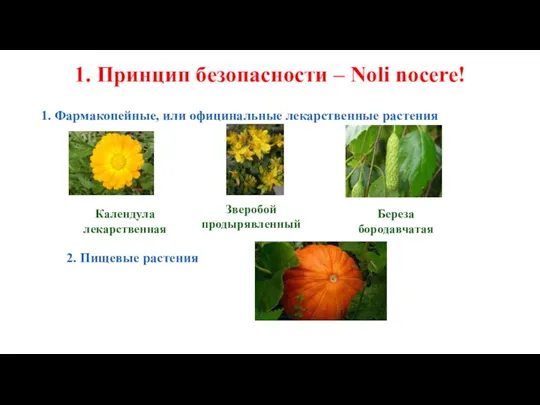 1. Принцип безопасности – Noli nocere! 1. Фармакопейные, или официнальные лекарственные растения