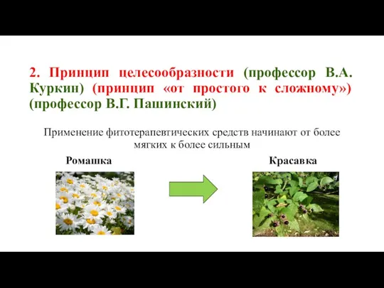 2. Принцип целесообразности (профессор В.А. Куркин) (принцип «от простого к сложному») (профессор