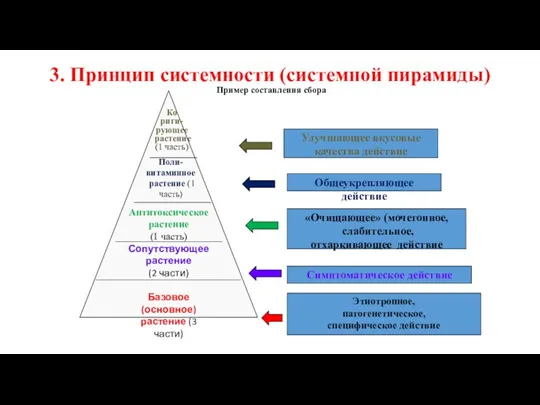 3. Принцип системности (системной пирамиды) Пример составления сбора Антитоксическое растение (1 часть)