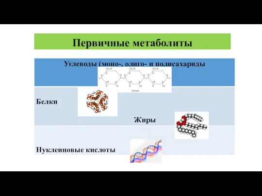 Первичные метаболиты