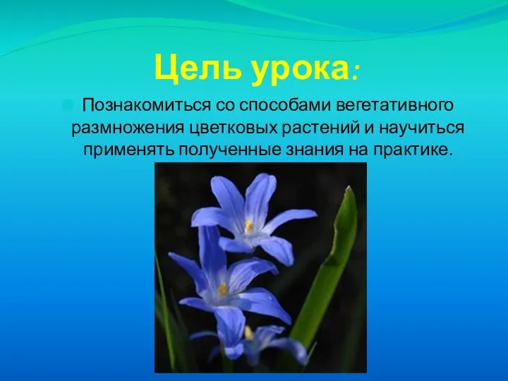 Цель урока: Познакомиться со способами вегетативного размножения цветковых растений и научиться применять полученные знания на практике.